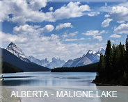 01-alb-maligne lk