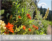 01-bc-selkirks-idaho