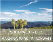 01-bc-sw-manning-blackwall