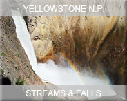 01-usa-wyoming-yellowstne-np