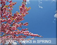 01-vanc-parks-spring