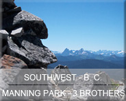 02-bc-sw-manning-3broth