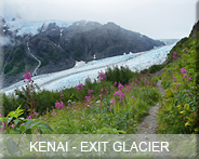 02-usa-alaska-kenai-exit
