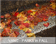 02-vanc-parks-fall
