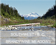 03-bc-sw-brandywine-mead