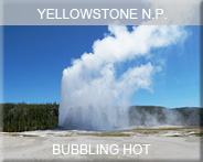 03-usa-wyoming-yellowst- np-bubhot