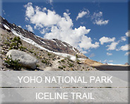 04-bc-natp-yoho-iceline