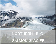 04-bc-north-salmonglacier