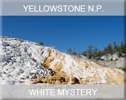 04-usa-wyoming-yellowst- np-mystery
