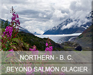 05-bc-north-beyondsalmon