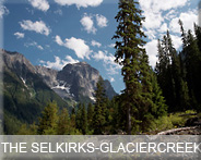 05-bc-selkirks-glaciercreek