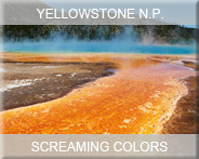 05-usa-wyoming-yellowst- np-screamcolors