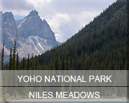 06-bc-natp-yoho-nilesmeadows