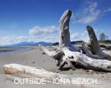07-ca-bc-vanc-outs-ionabeach