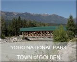 09-bc-natp-yoho-golden