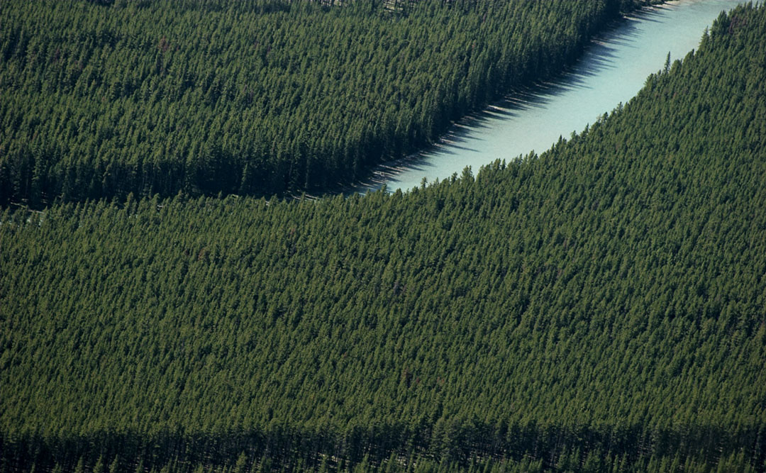 bow river