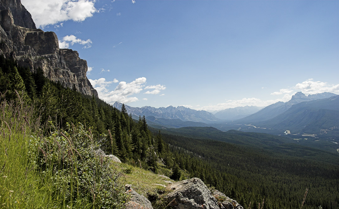 looking south into the bow river valley