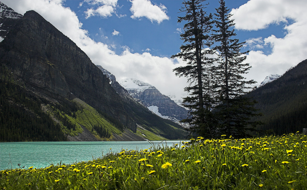 spring at lake louise. fairview mt. (out of the picture) is far left